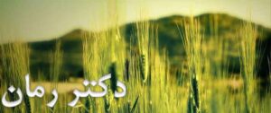 دانلود رمان آخرین تک شاخ ایرانی pdf از یاسمن فرح زاد با لینک مستقیم